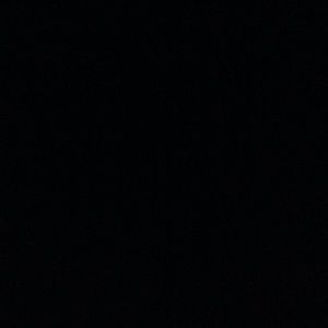 Meet your Posher, Evelyn